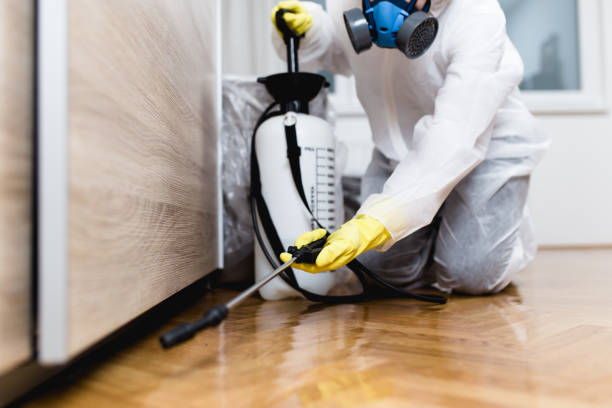 Best Best Pest Control Companies  in Sawgrass, FL