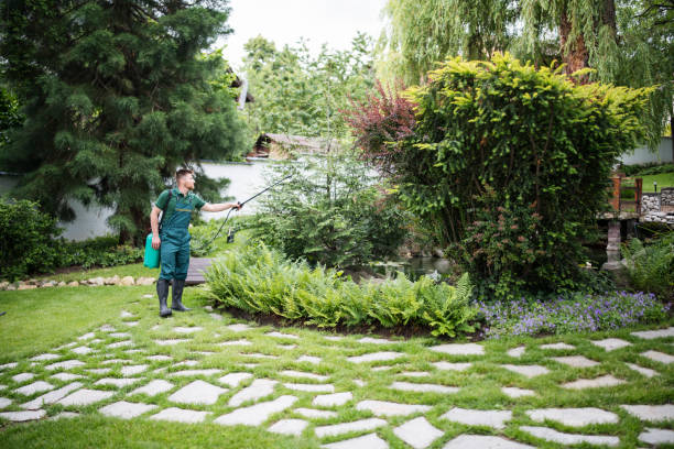 Best Pest Removal Services  in Sawgrass, FL