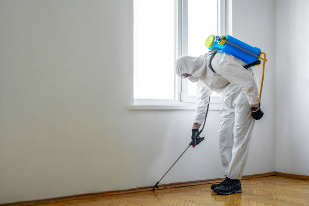 Trusted Sawgrass, FL Pest Control Experts