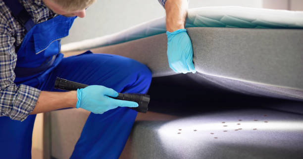 Best Cockroach Control Services  in Sawgrass, FL