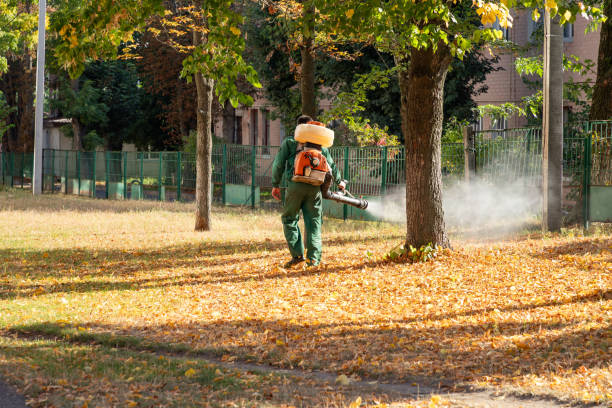 Best Insect Control  in Sawgrass, FL