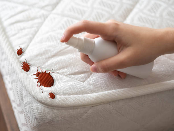 Best Pest Control Near Me  in Sawgrass, FL
