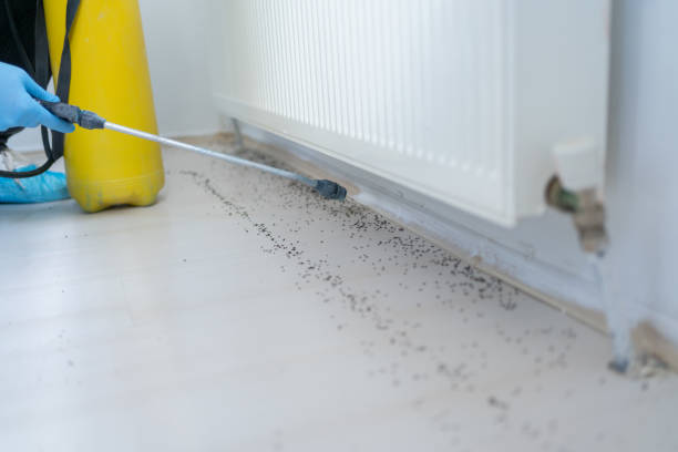 Best Affordable Pest Control Services  in Sawgrass, FL